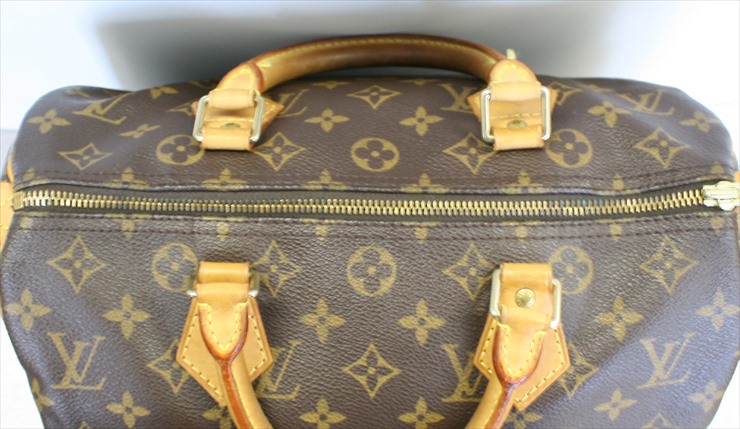 Louis Vuitton Speedy Handbag 372350