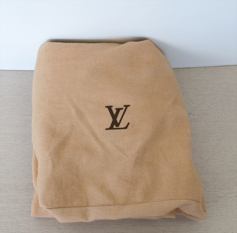 LOUIS VUITTON SAC DEPAULE PM Epi Noir