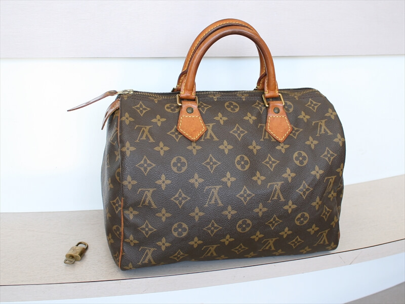 Louis Vuitton Speedy Handbag 323875