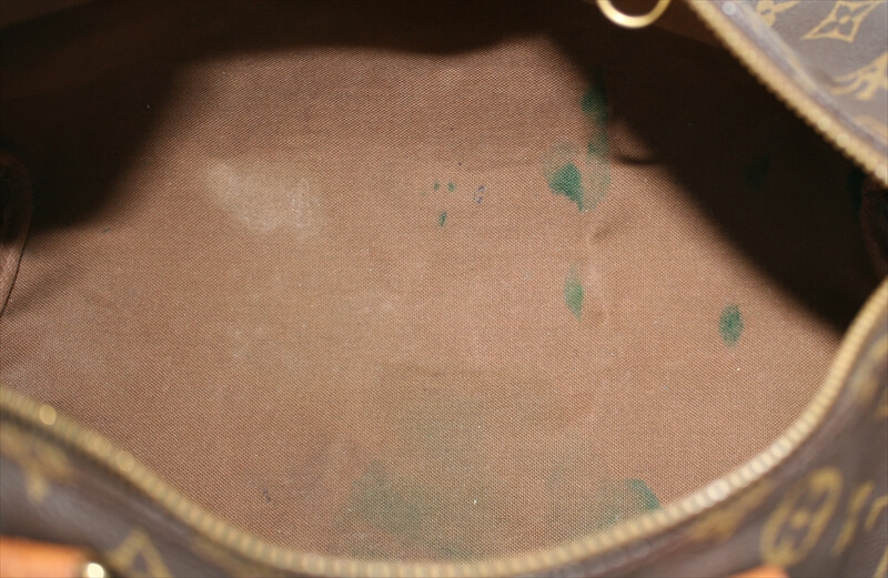 Louis Vuitton Speedy Handbag 390168