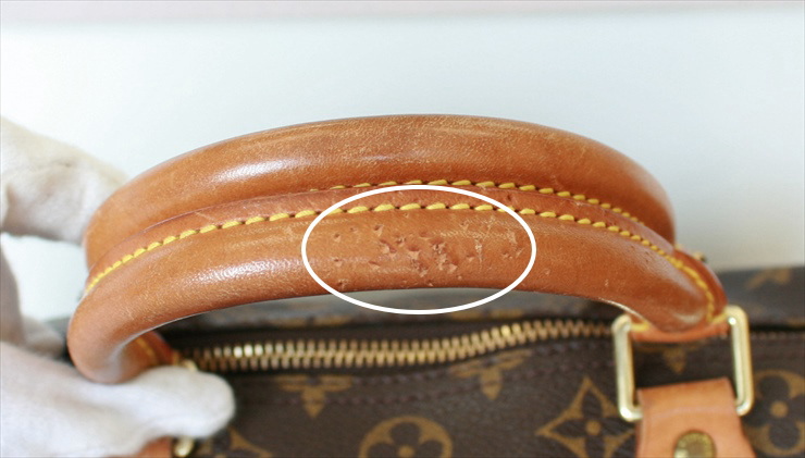 Louis Vuitton Speedy Handbag 367903