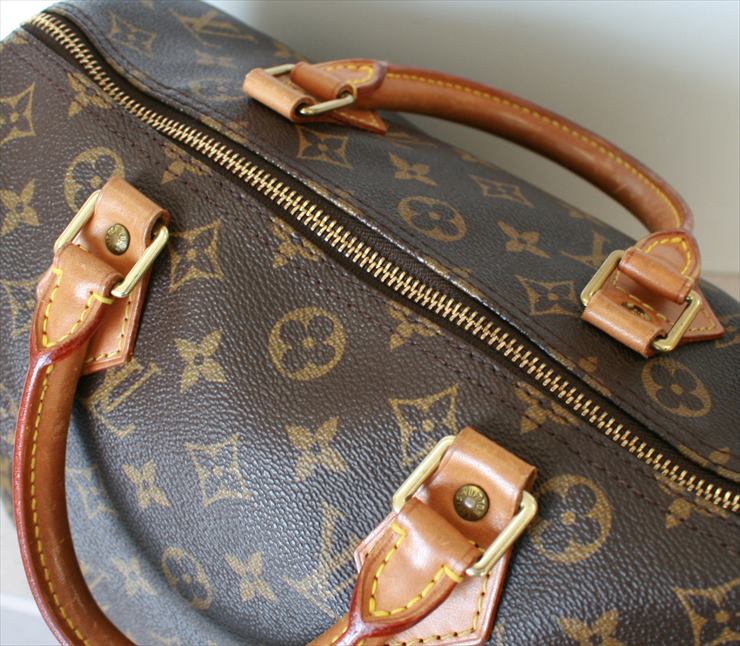 Louis Vuitton Speedy Handbag 370389