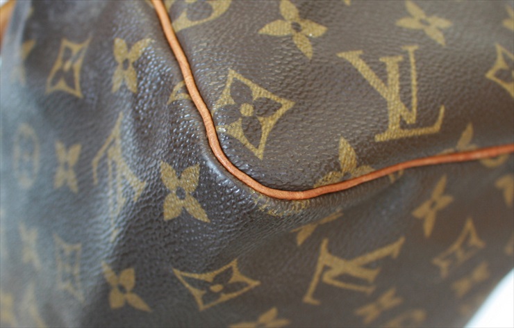 Louis Vuitton Speedy Handbag 370389