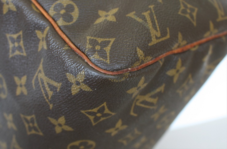 Louis Vuitton Speedy Handbag 381936
