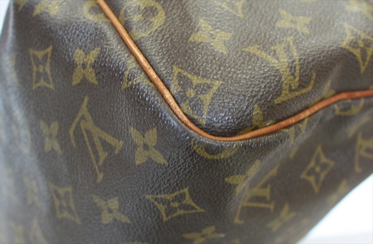 Louis Vuitton Speedy Handbag 320765