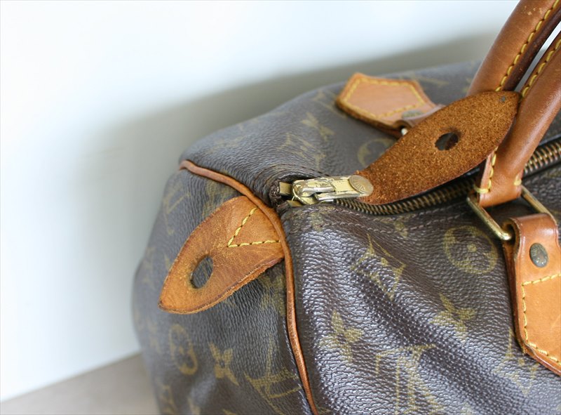 Louis Vuitton Speedy Handbag 242116
