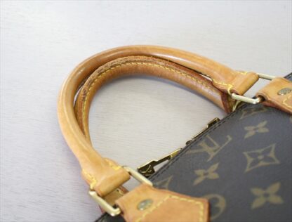 LOUIS VUITTON ALMA Monogram