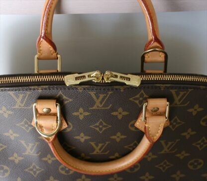 LOUIS VUITTON ALMA monogram