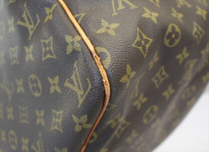 LOUIS VUITTON EVASION Monogram